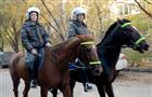Бывшей сотруднице конной милиции Лидии Котовой предъявлено обвинение
