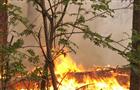 В Похвистневском районе горел низовой лес