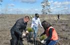 Самарские волонтеры посадили 3,5 тысячи саженцев в Ставропольском лесничестве