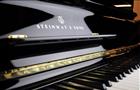 Тольяттинская филармония объявила акцию по спасению рояля Steinway 
