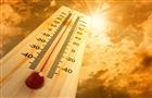 В выходные в Самарской области прогнозируется +41°C