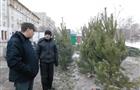 В Самаре проверили пиротехнические точки и елочные базары