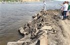 Под Тольятти строительные отходы сваливают в Волгу