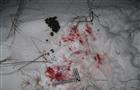 У c. Сколково в Самарской области задержан браконьер, застреливший лося