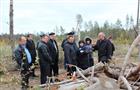 Городская Дума проинспектировала состояние тольяттинских лесов
