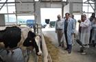 Глава региона посетил молочную ферму в селе Богдановка