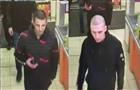 Полиция разыскивает мужчин, похитивших в Тольятти 20 мягких игрушек