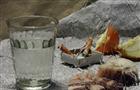 В Самаре водитель автобуса до смерти избил кондуктора
