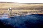 В Самарской области начала гореть сухая трава: 61 пожар за сутки