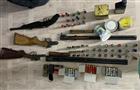 Полицейские возбудили 25 уголовных дел после "оружейных" рейдов