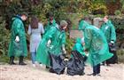Девять тонн мусора собрали корпоративные волонтеры на пляже в районе 9-й просеки в Самаре