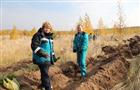 В Тольятти посадили 1,7 га леса за счет средств от сданной макулатуры
