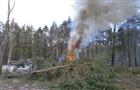 Депутаты Тольятти бьют тревогу в связи с угрозой возникновения новых лесных пожаров