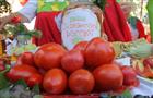 Сызрань стала центром гастрономического паломничества любителей томатов