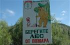 Леса в Самарской области с 15 апреля начали патрулировать 80 мобильных групп
