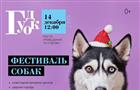 В ТК "Гудок" пройдет фестиваль собак