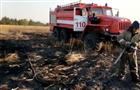 В Самарской области сгорели 24 га сухой травы и ячменя