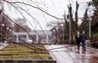 К концу рабочей недели в Самарской области прекратятся дожди