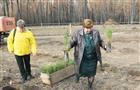 За весну в Самарской области высадили 7 млн деревьев
