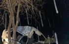 При столкновении с деревом в Шигонском районе пострадали водитель ВАЗа и его пассажир-подросток