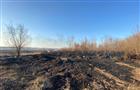 Девять дачных строений сгорели при пожаре в СНТ "Нефтяник" под Самарой