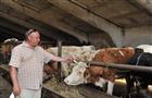 Успехи животноводов губернии: будем с мясом и молоком