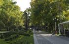 Как будет выглядеть Струковский сад после реконструкции