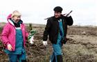 Сотрудники тольяттинских предприятий СИБУРа посадили два гектара саженцев сосны на месте сгоревшего леса