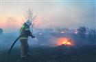 Полицейские начали проверку из-за пожара в тольяттинском лесу