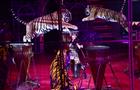 Королевский цирк Гии Эрадзе продолжает гастроли в Самаре