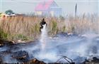 С начала недели в Самарской области уже 20 раз горела сухая трава
