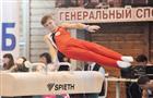 Сызрань стала местом проведения соревнований в честь Алексея Немова 