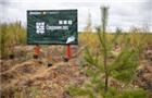 В ходе акции "Сохраним лес"-2021 в Чувашии высажено около 130 тысяч деревьев и кустарников