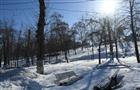 В Самарской области местами потеплеет до +17°C