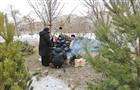 В Самаре процветает несанкционированная торговля хвойными