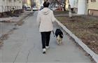 В Самарской области ограничат численность домашних животных