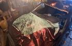 В Самарской области водитель легковушки сбил насмерть лося
