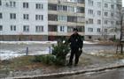 В Новокуйбышевске местный житель спилил елку около соседнего дома