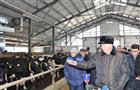 Николай Меркушкин: "Мы обязаны использовать шанс и занять нишу на рынке молочного производства"