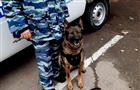 Полицейская собака вычислила любителя конопли в Самарской области