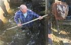 В  Куйбышевское водохранилище выпущено 26 тысяч мальков