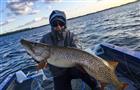 Самарский рыболов поймал 11-килограммовую щуку