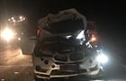 Водитель BMW насмерть сбил лося в Самарской области