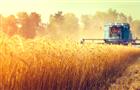 Россельхозбанк направил на поддержку сезонных работ в Самарской области 8 миллиардов рублей