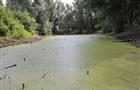 На Куйбышевском водохранилище зафиксирована экстремально высокая температура