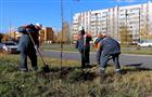Энергетики "Т Плюс" высадили липы в Тольятти