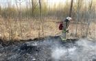 В Тольятти ликвидирован лесной пожар на площади 8 га