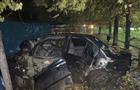 В Сызрани иномарка столкнулась с автомобилем, деревом и забором