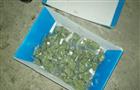 У жителя Сызрани изъяли более 2 кг марихуаны