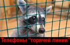 В Самарской области работает "горячая линия" для обращений в случае выявления контактных зоопарков
